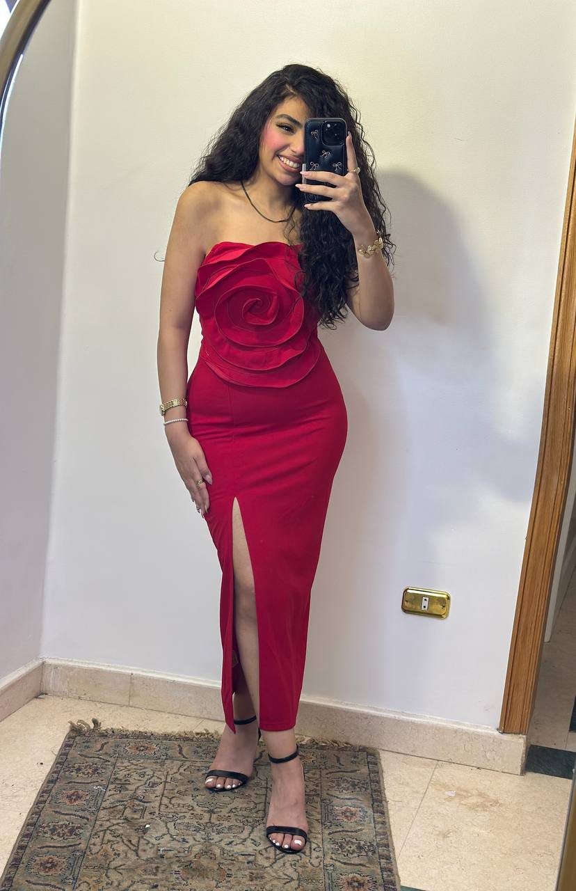 Statement Floral Appliqué Strapless Midi Dress